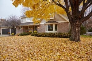 Fall 2020 Market Update