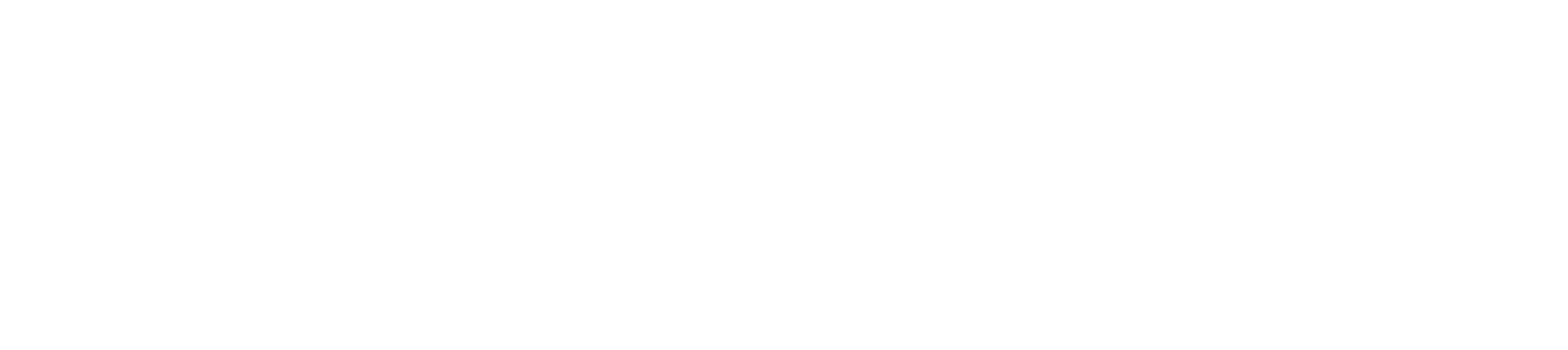 PocketAppraisal justwords WHITE v13