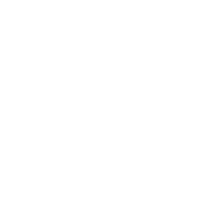 Appraiser Fee Icon copy