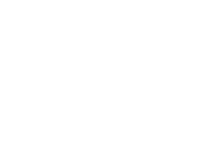Find Appraisers Icon copy