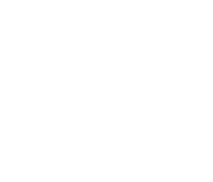 Research Property Icon copy