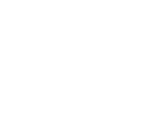 Subject Property Icon copy